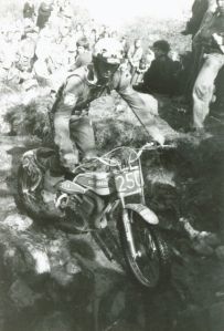 Yoomee 1980 Majesty SSDT