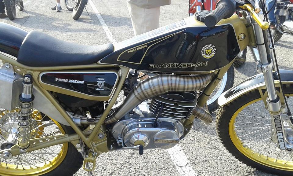 50 Anniv - Puma Racing