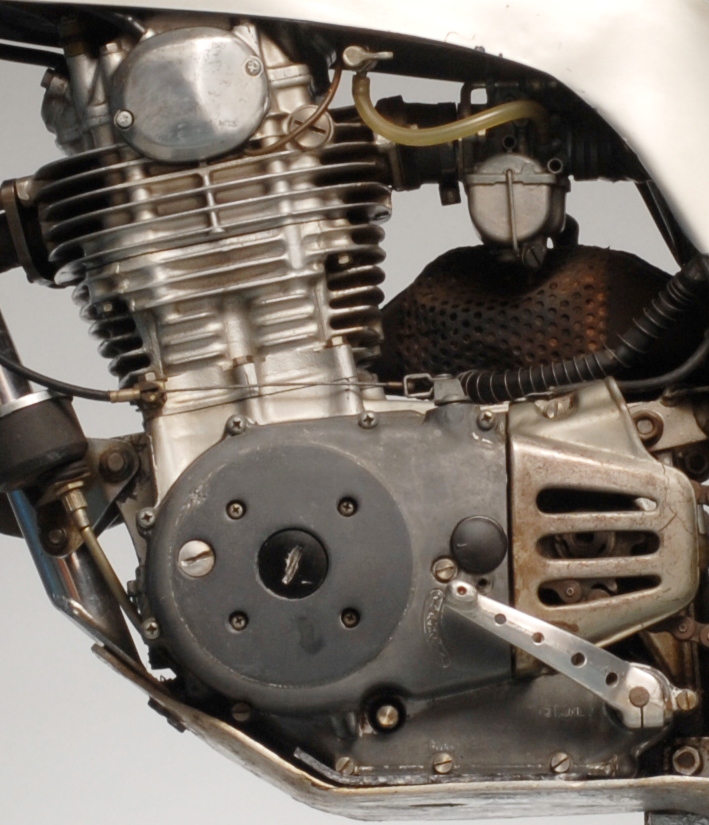 picture credit Sammy Miller (3)