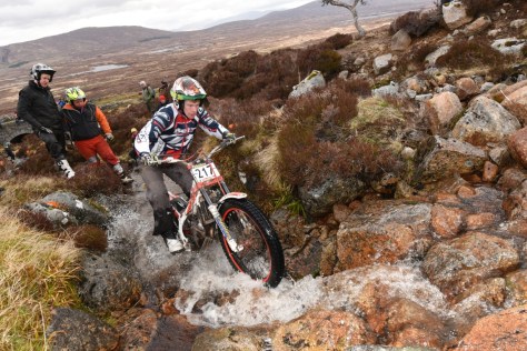 Dec Bullock (Beta) (Medium)