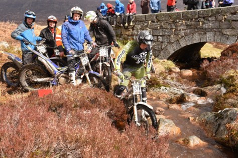 Matt Alpe (Beta) (Medium)