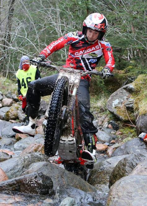 Michael Brown - Nevis Forest - K