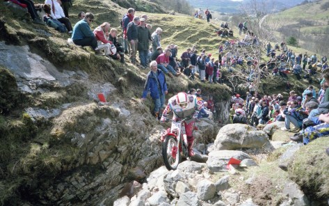 U REINKEMEIER-LAY 1995 Lagnaha