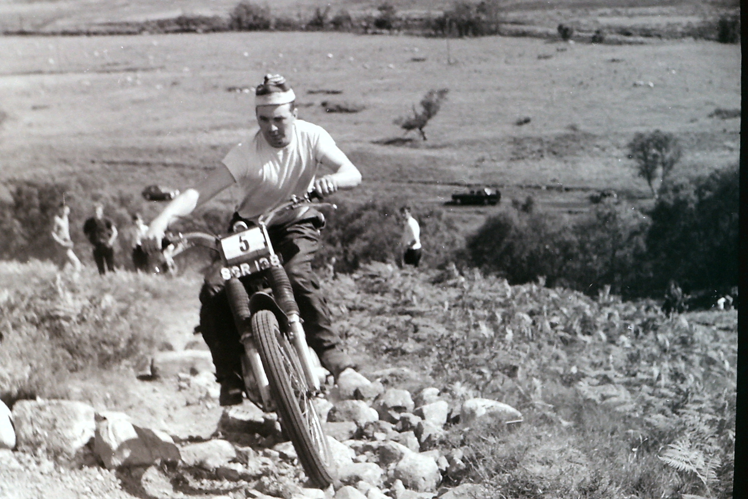 My beautiful picture