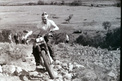 My beautiful picture