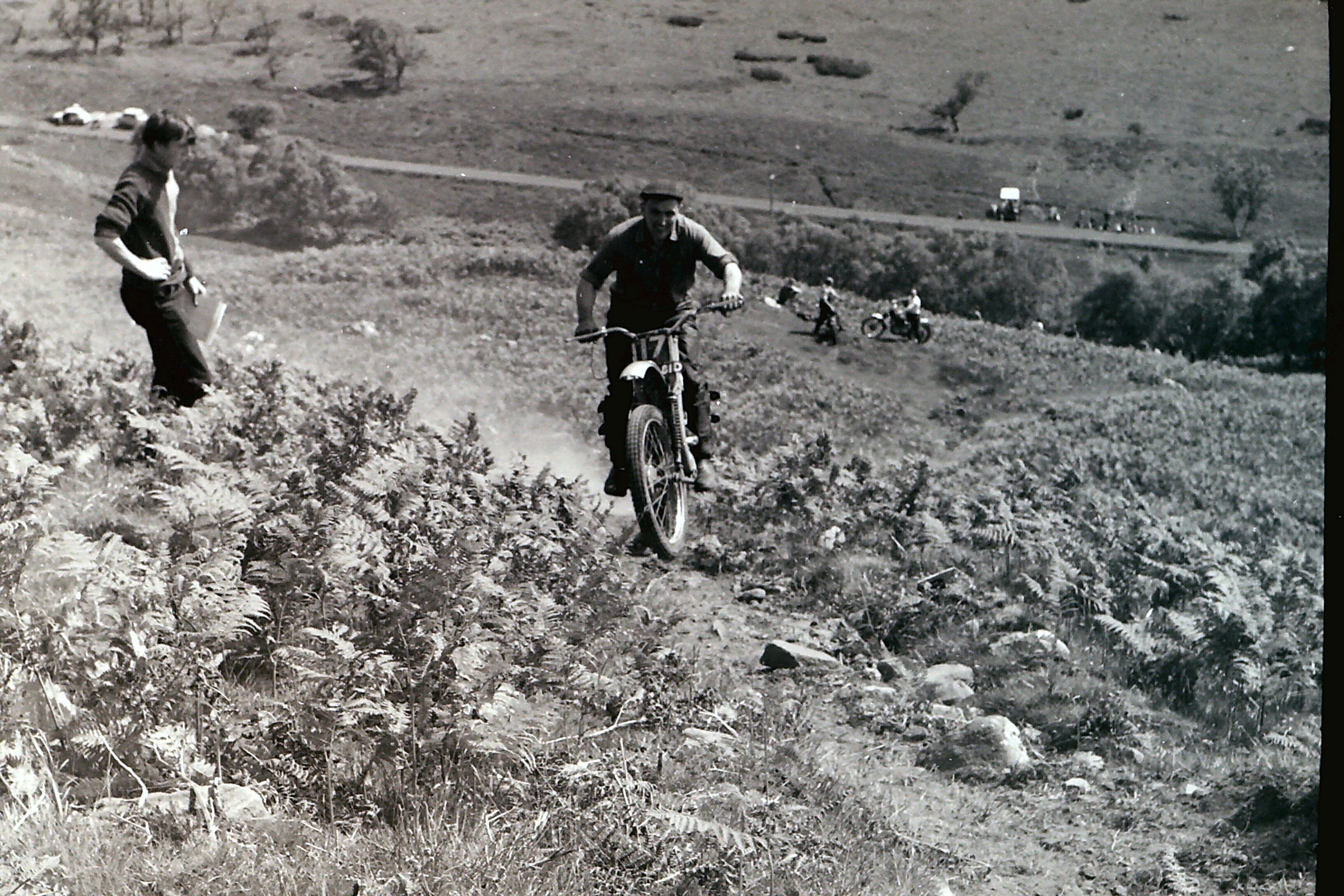 My beautiful picture