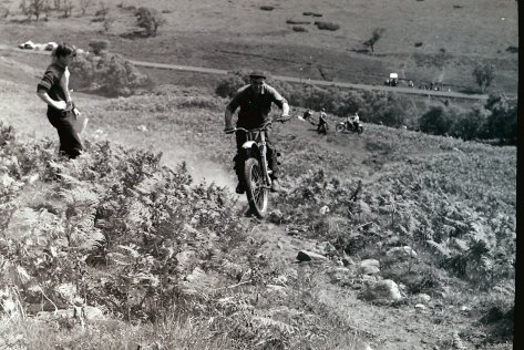 My beautiful picture