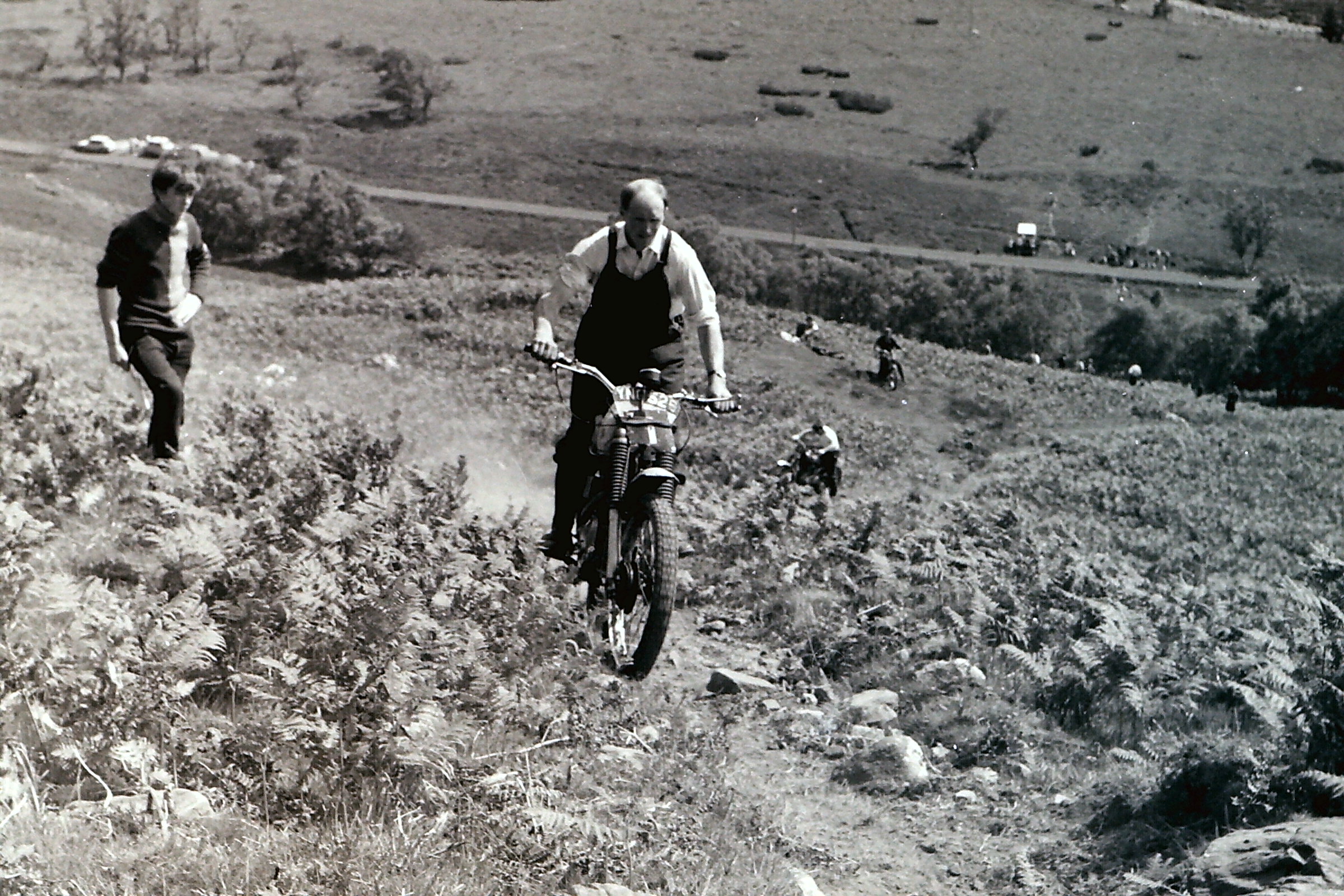 My beautiful picture