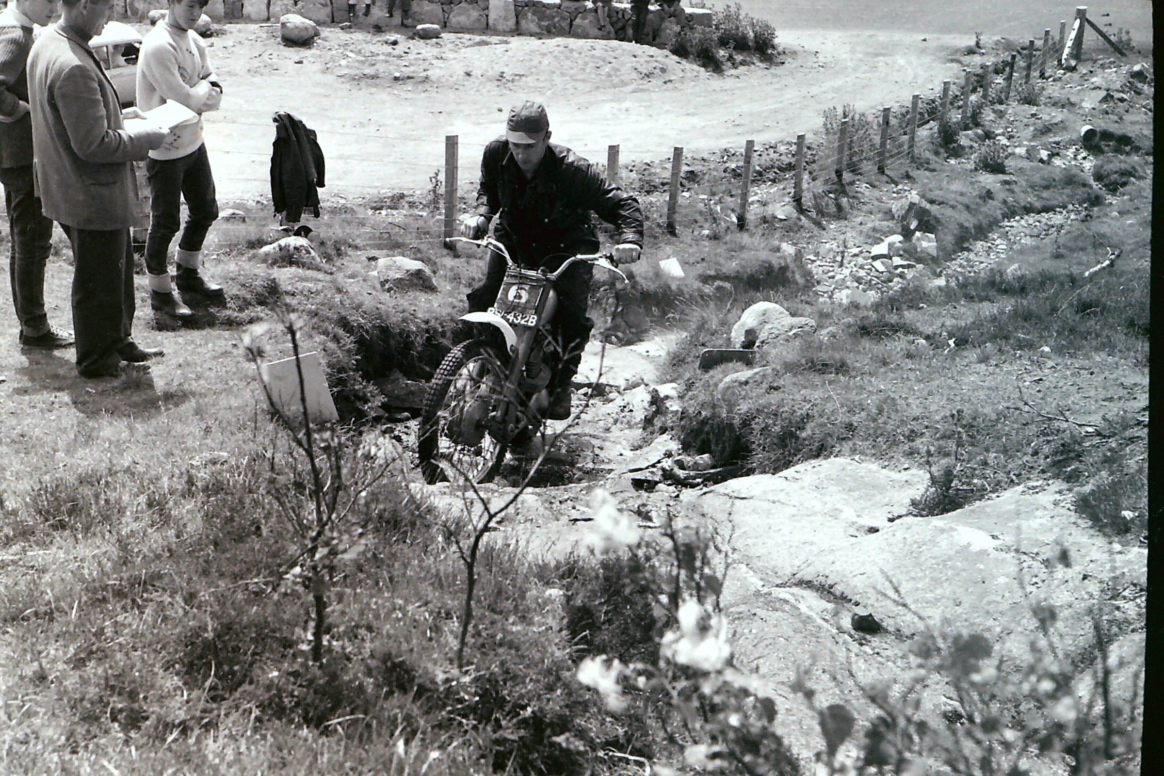 My beautiful picture