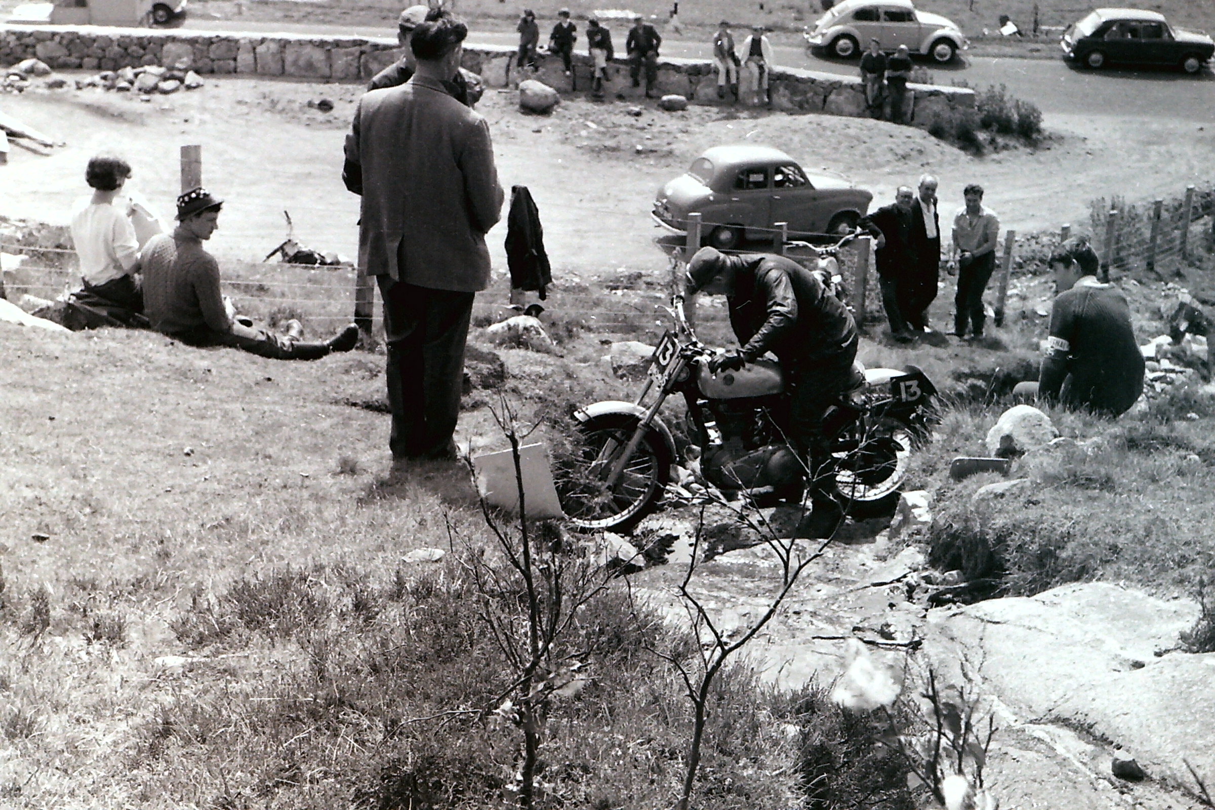 My beautiful picture