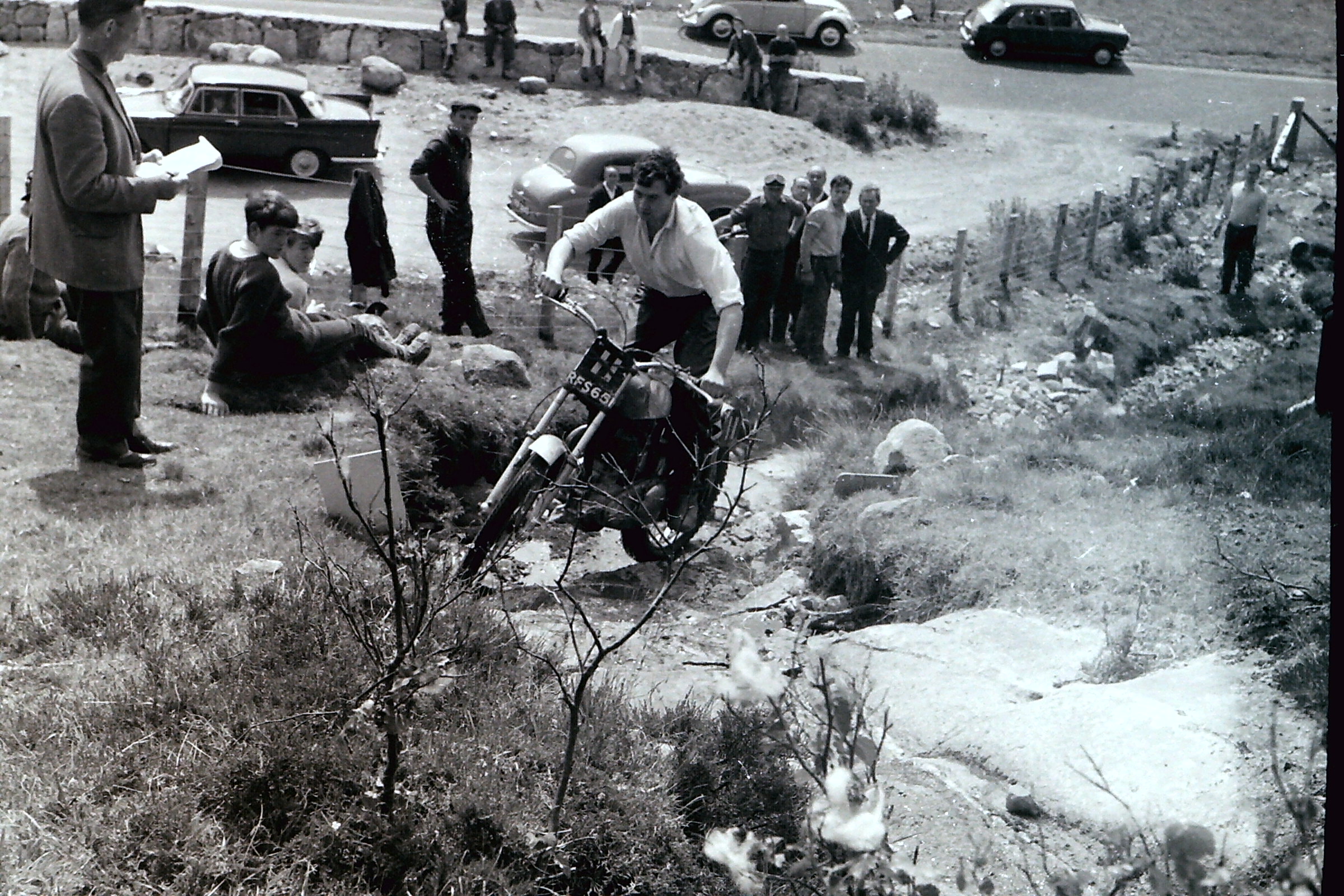 My beautiful picture