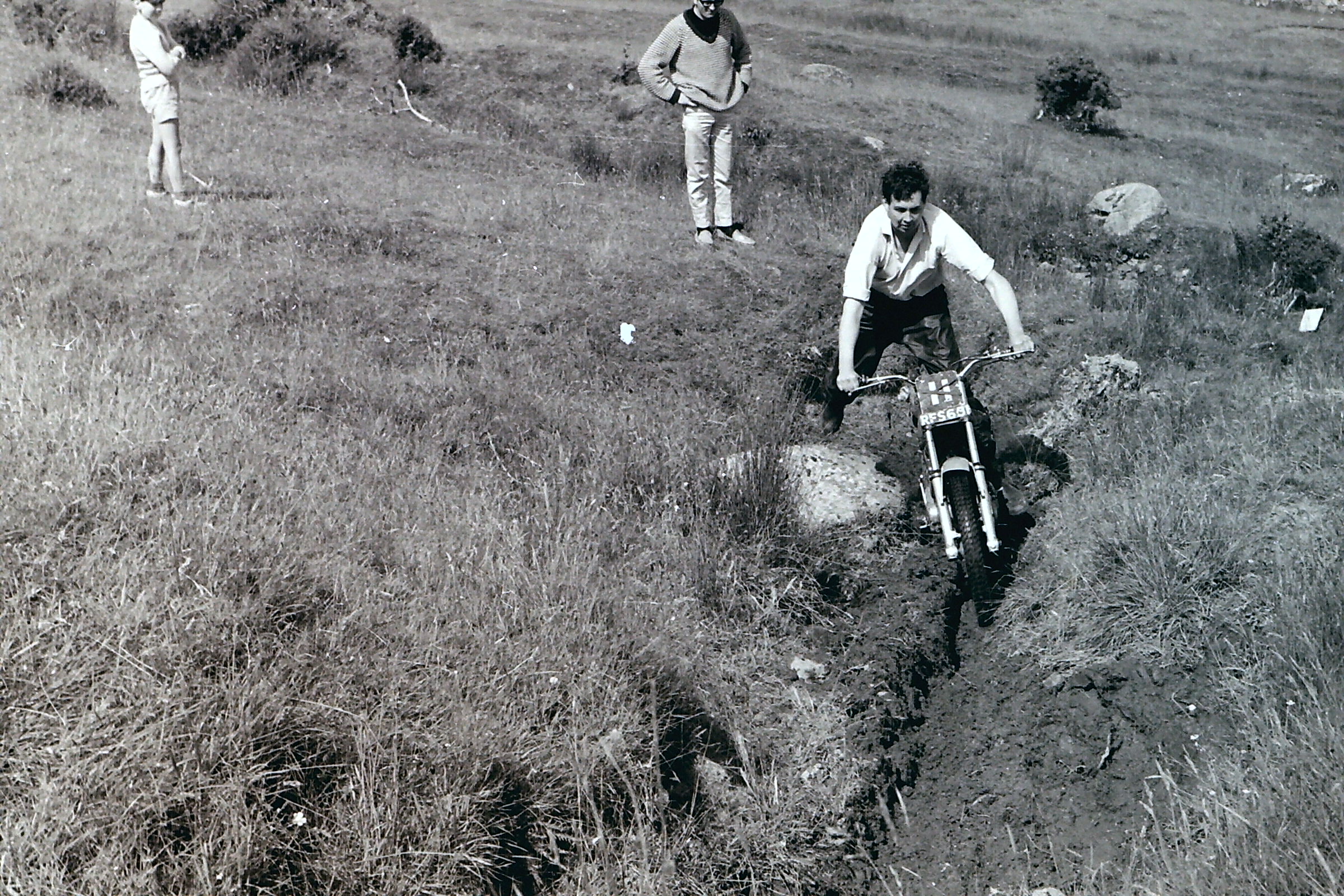 My beautiful picture