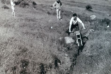 My beautiful picture