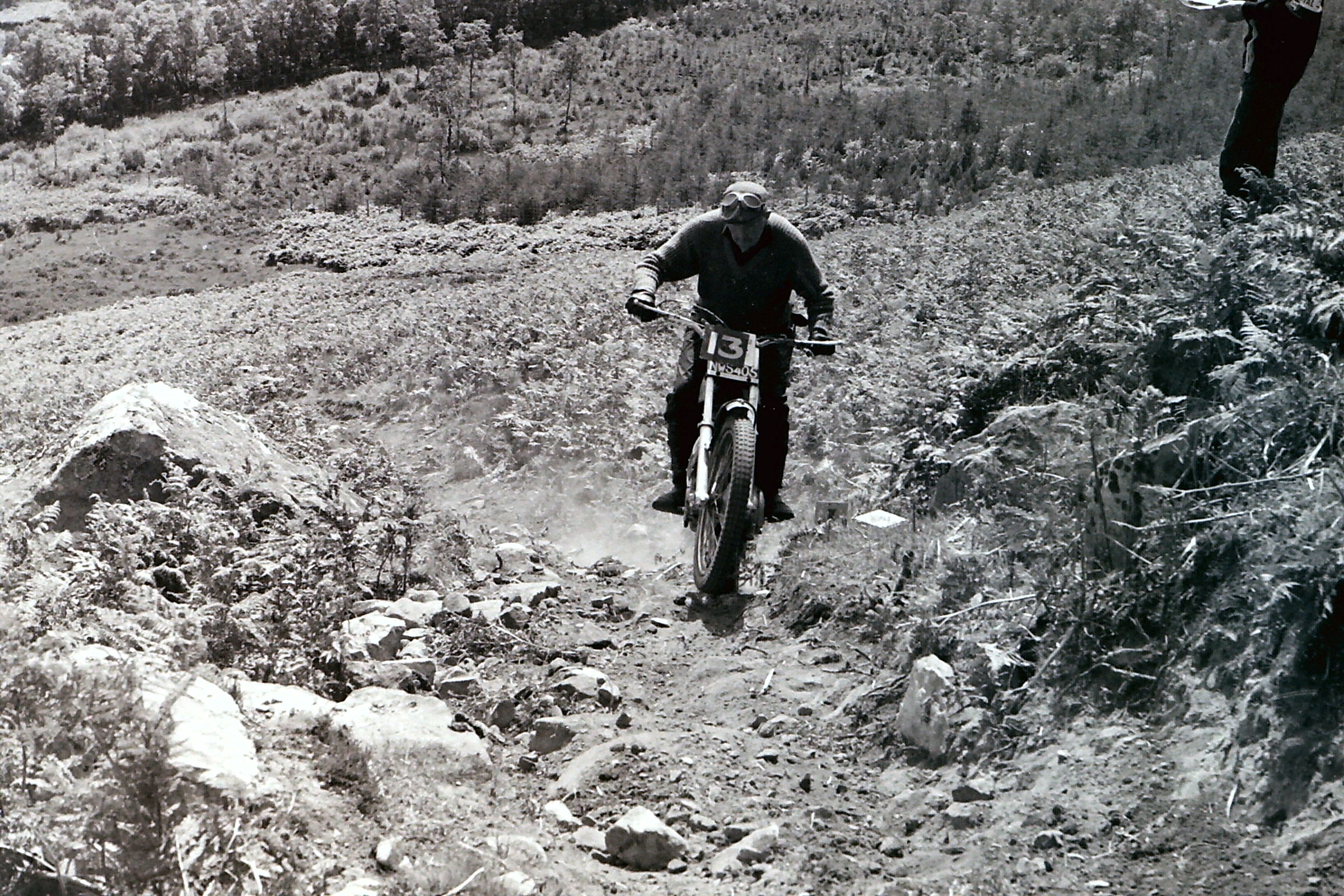 My beautiful picture