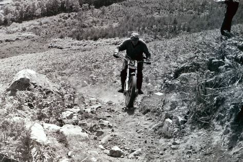 My beautiful picture