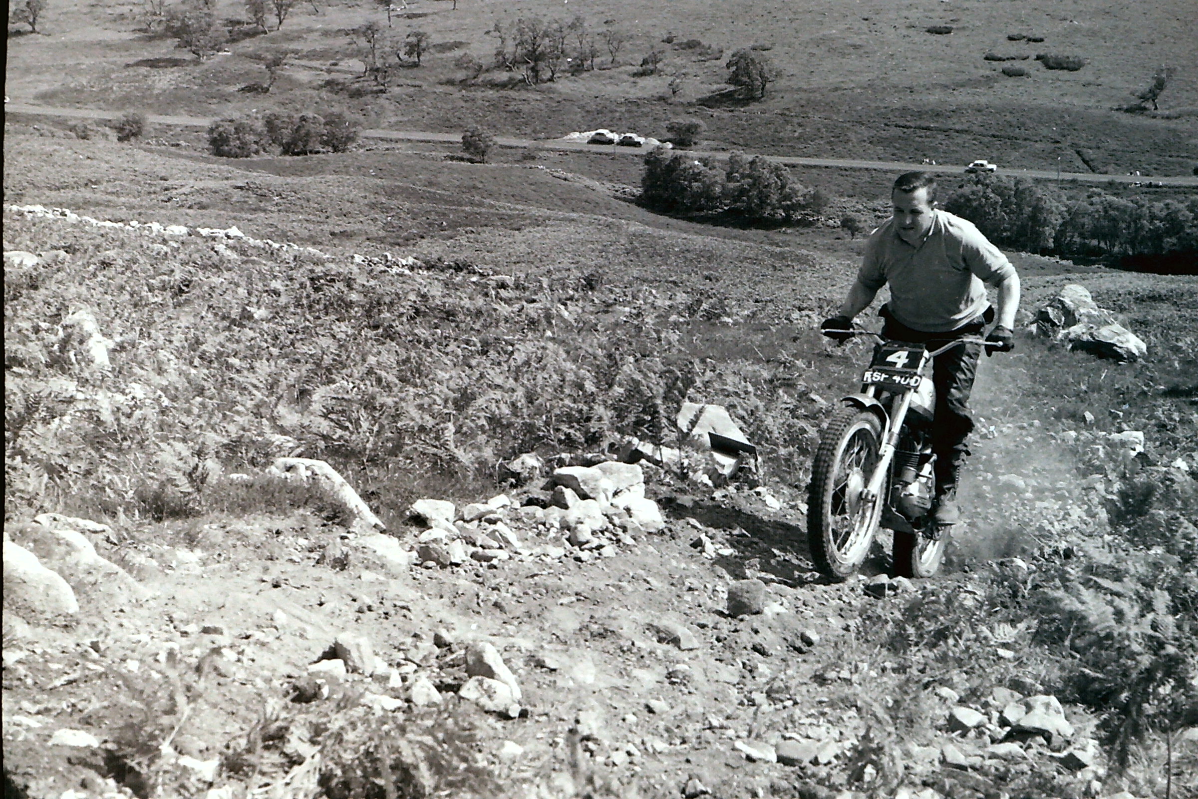 My beautiful picture