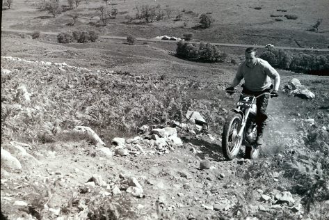 My beautiful picture