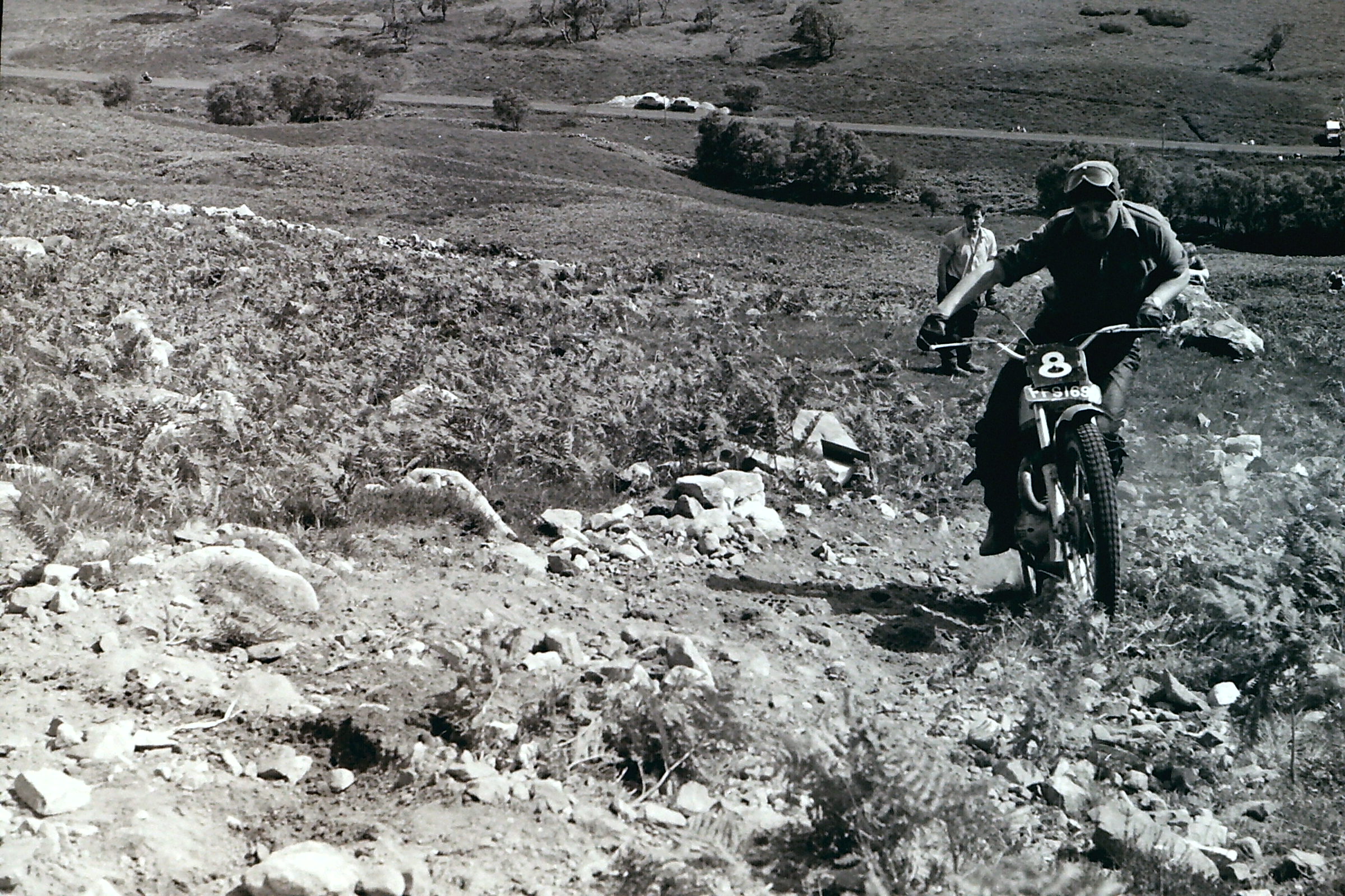 My beautiful picture