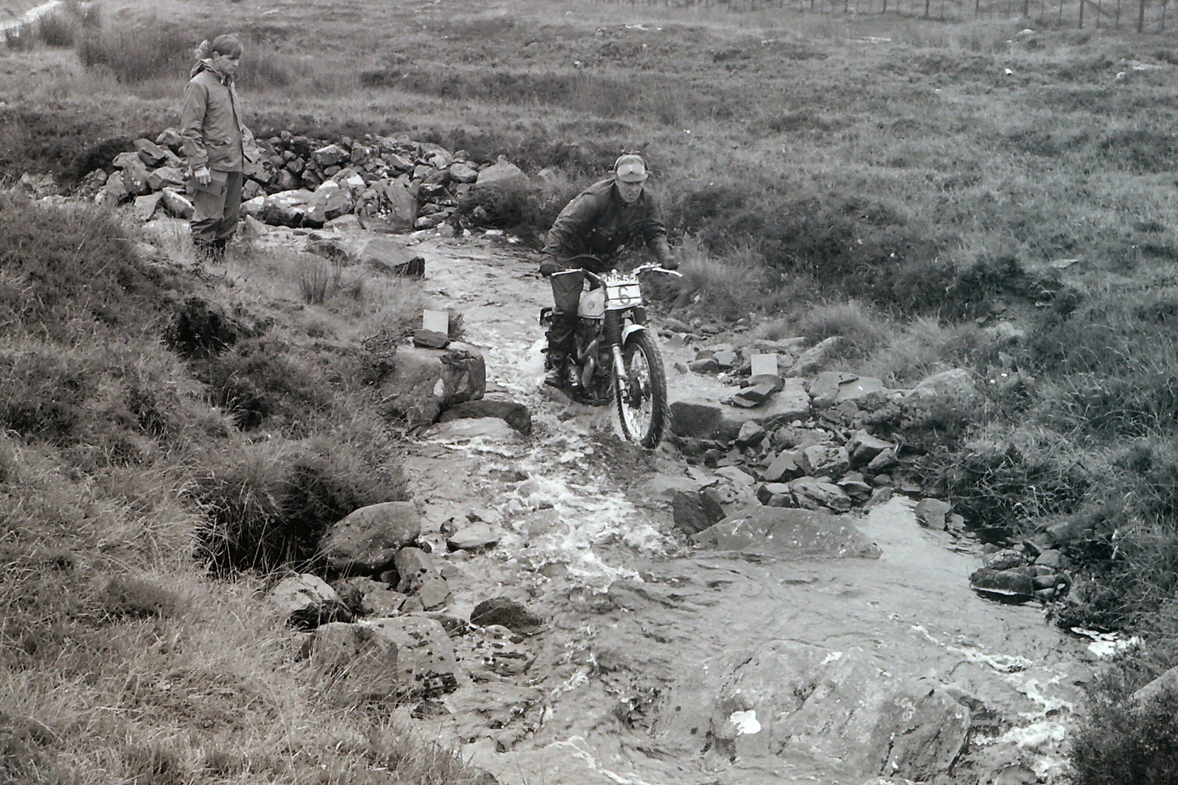 My beautiful picture