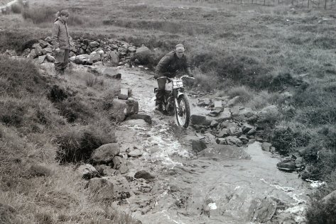 My beautiful picture