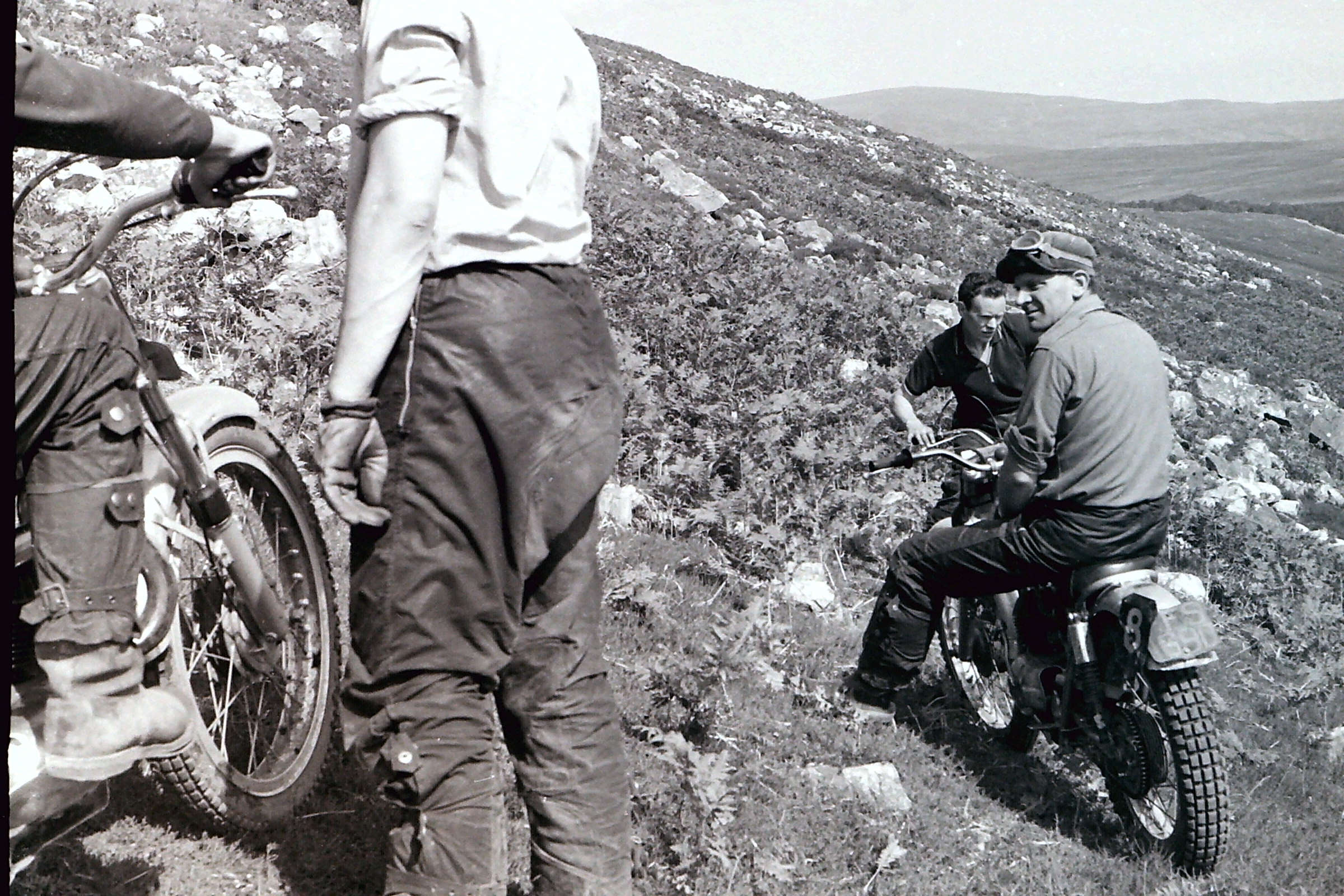 My beautiful picture