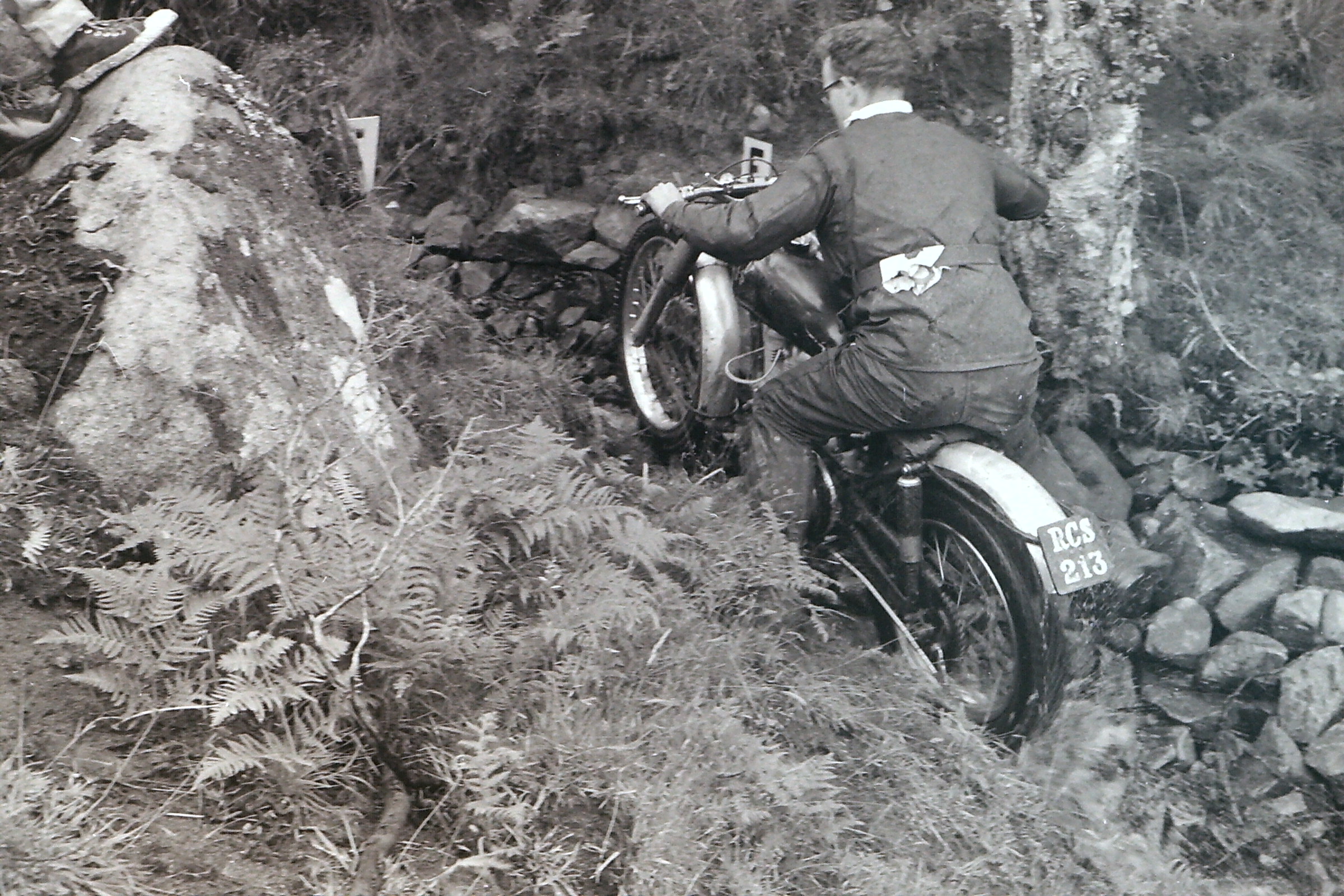 My beautiful picture