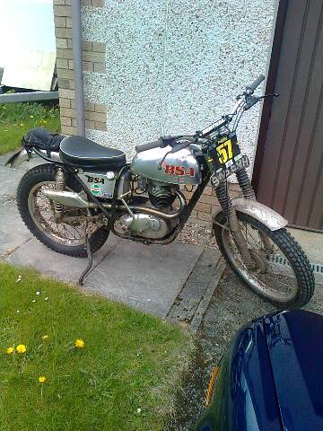 2015-p65-bsa