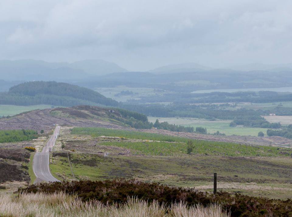 Top of World - Dode F