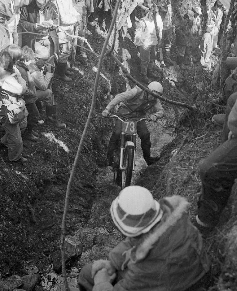 RE Chapman'79 Muirshearlich