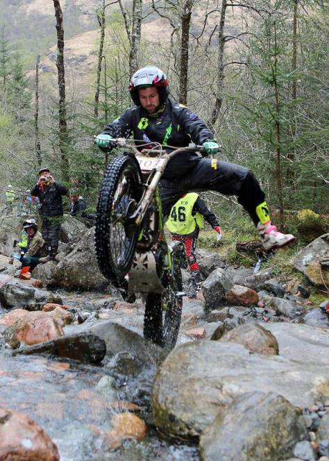 Dabill - Nevis Forest - K